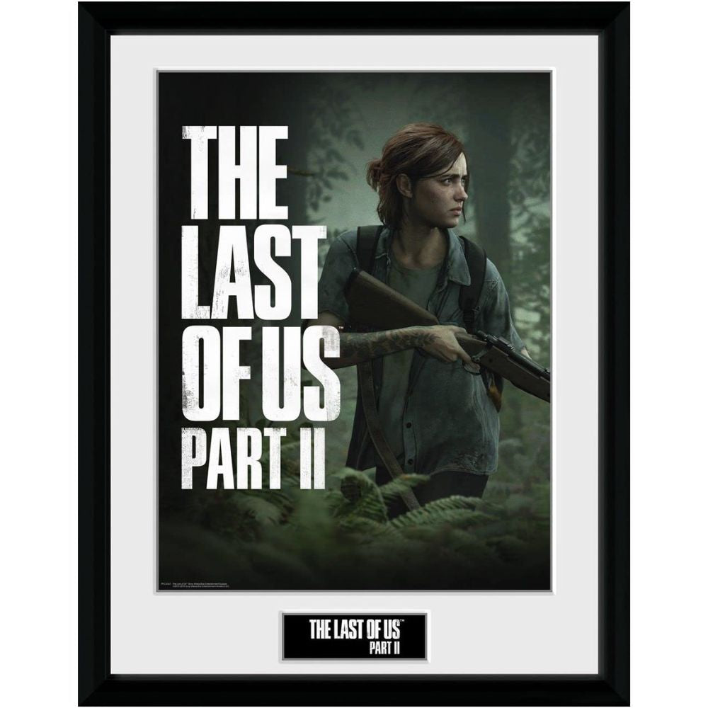 The Last Of Us Part 2 Framed Print